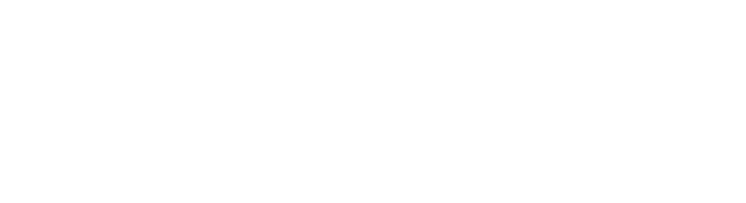 BLANKZ Logo